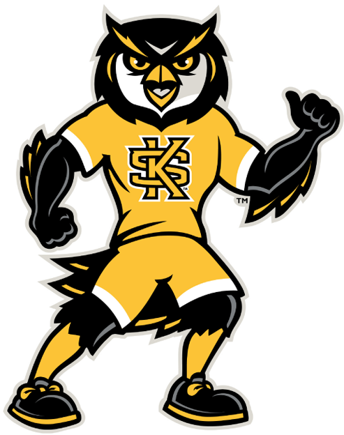 Kennesaw State Owls 2012-Pres Mascot Logo diy iron on heat transfer